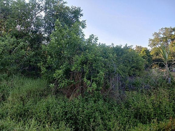 4th image of 7025 NE 11TH Lane