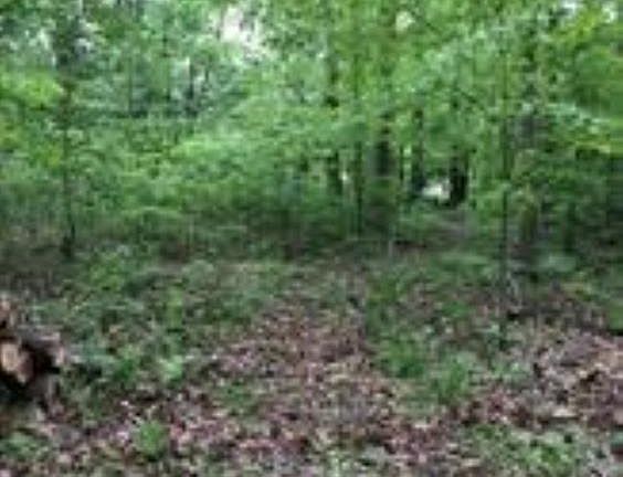 3rd image of 4758 N Nature Hills Ln