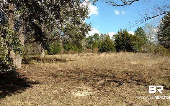 3rd image of 24217 County Road 87