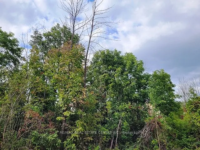 46 Windtree Way — Photo 5