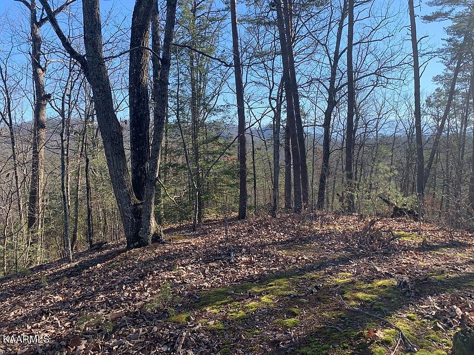 1st image of Dogwood Loop Dr
