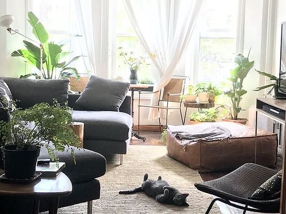 2nd image of 1686 Nostrand Ave APT 1