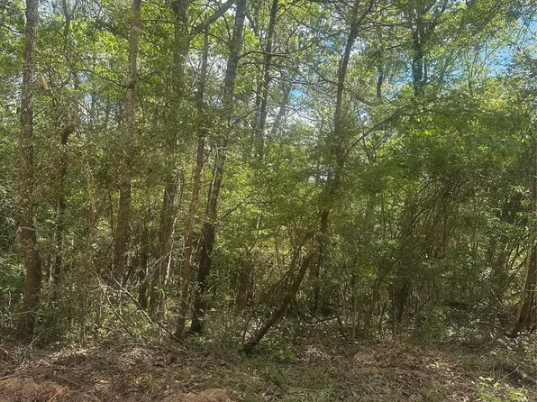 0 Patricia Dr, Livingston, TX 77351