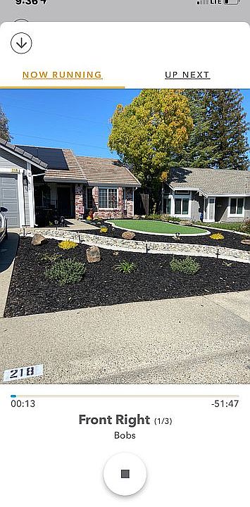 Front yard 