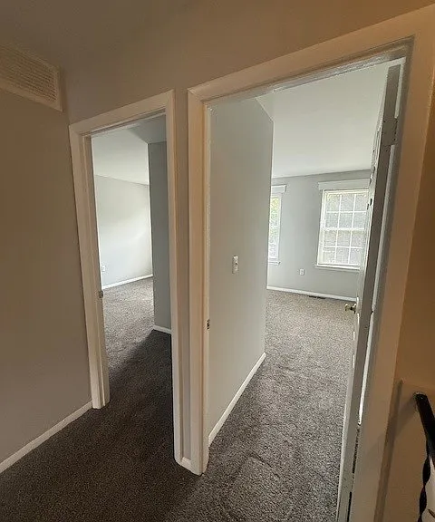 115 Halsey Dr — Photo 8