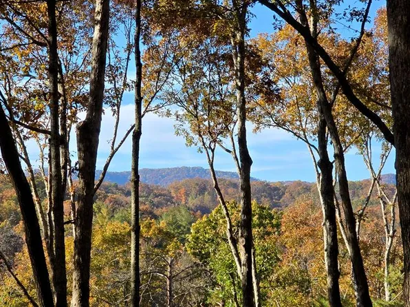 5 Gold Ridge Trl, Cherry Log, GA 30522