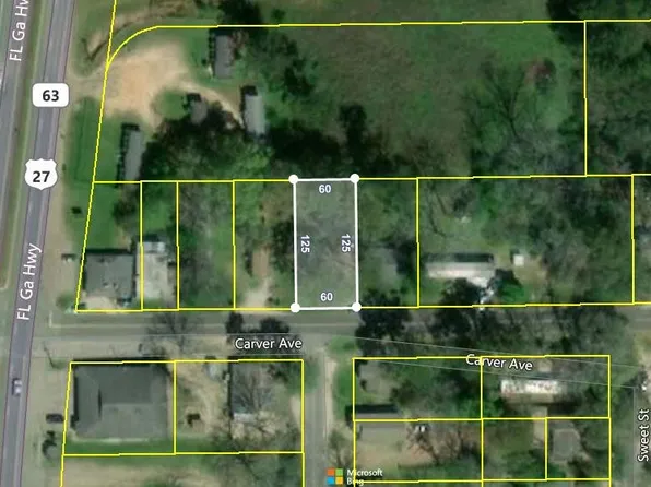 53 Carver Ave, Havana, FL 32333