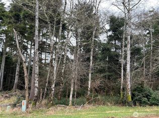 314 Lake View Loop NE, Ocean Shores, WA 98569