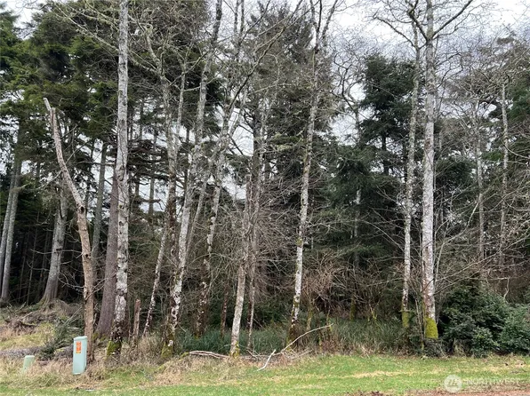 314 Lake View Loop NE, Ocean Shores, WA 98569