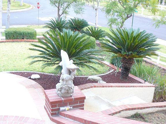 view from front steps