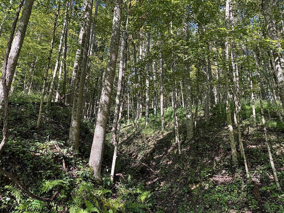 22nd image of this home