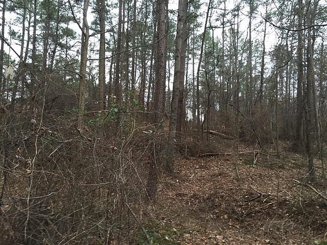 2nd image of 9305 Scott Rd Lot 0