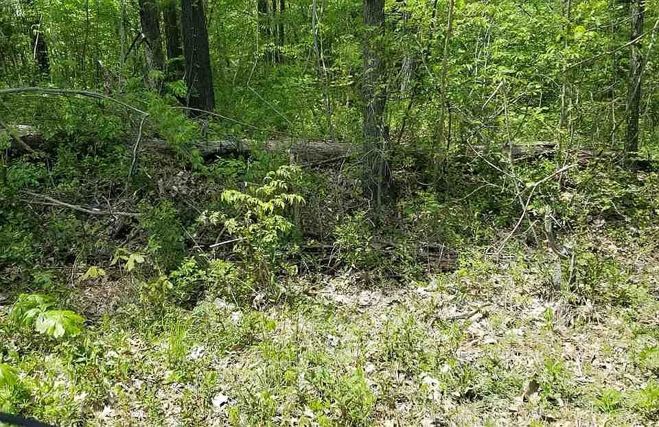 2nd image of 1500 Childress Rd