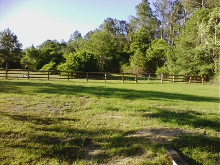 1384 Old Savannah Rd — Photo 4