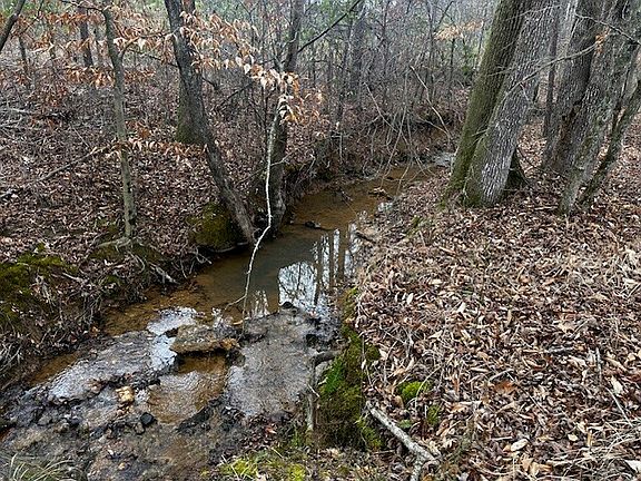 2nd image of Coker Spur Rd