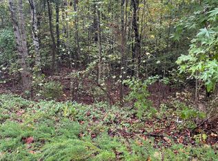 445 Hawken Dr, Walland, TN 37886
