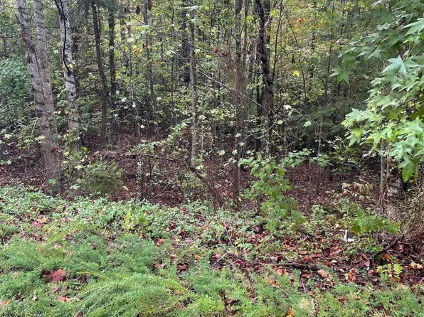 445 Hawken Dr, Walland, TN 37886