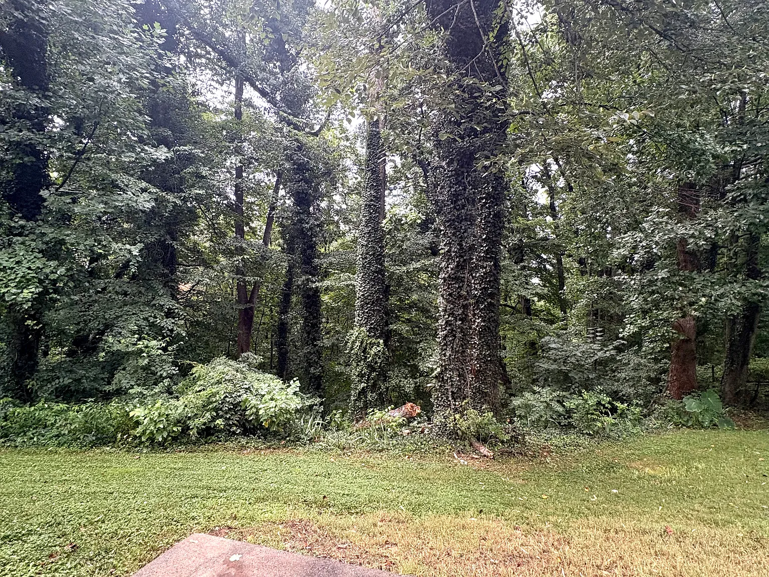 3 bed, 1769 sqft, $2,250 — Photo 3