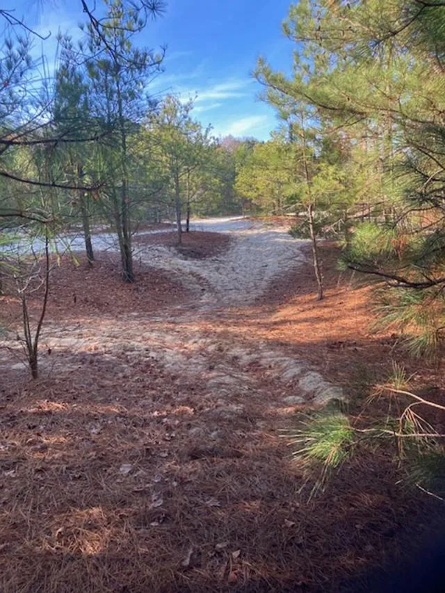 0 Cherry Hill Rd photo 1