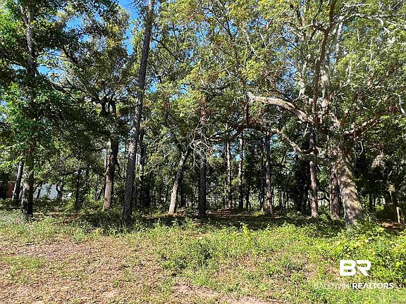 3rd image of 9545 N Bayou Rd