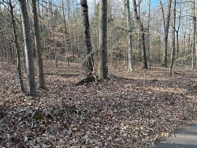 Huff Ln, Scottsville, KY, 42164