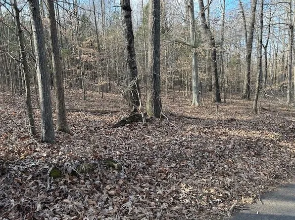 Huff Ln, Scottsville, KY 42164
