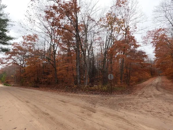 E Nine Mile Rd, Tustin, MI 49688