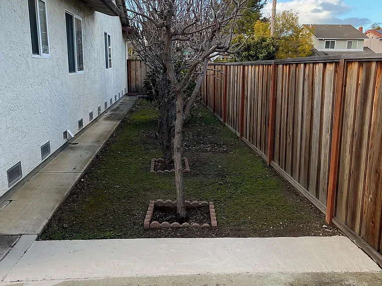 944 Erica Dr — Photo 5