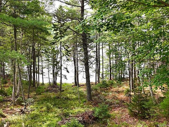 5th image of 135 Pine Point Rd