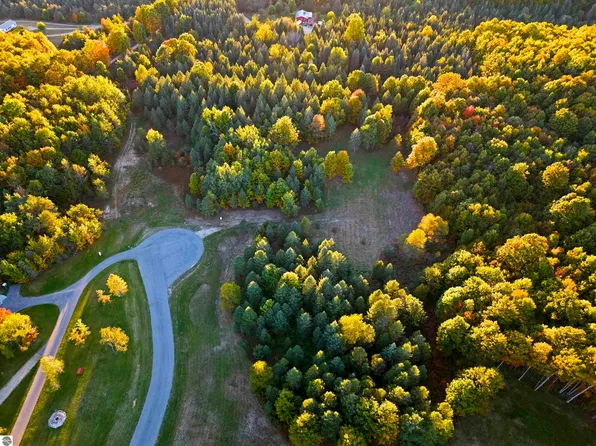 5932 SW Old Oak Trl Lot 12, Fife Lake, MI 49633