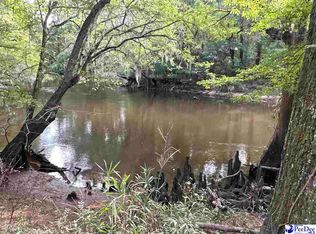 N Old Georgetown Rd, Coward, SC 29530