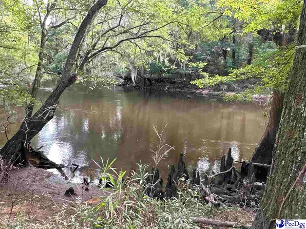 N Old Georgetown Rd, Coward, SC 29530