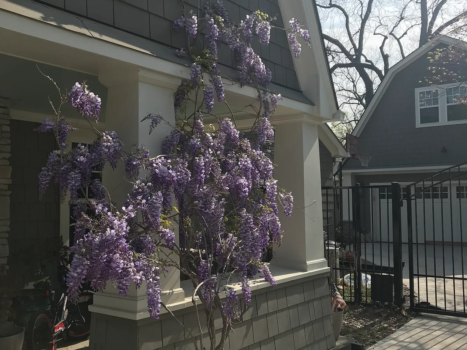 2 bed, 950 sqft, $2,800 — Photo 1