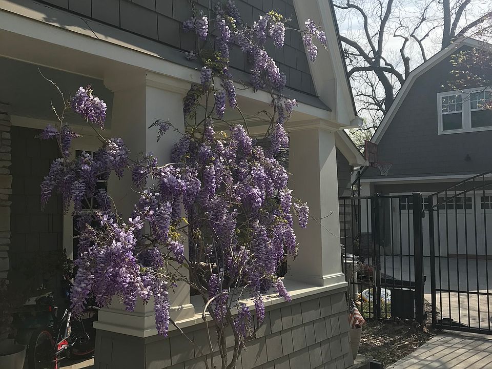 Upstairs apartment built in 2021, behind a beautifully restored and expanded original 1935 cottage