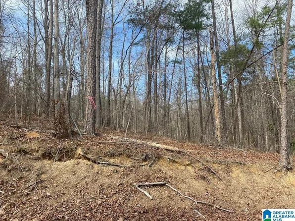 Raccoon Branch Rd #12, Jasper, AL 35504