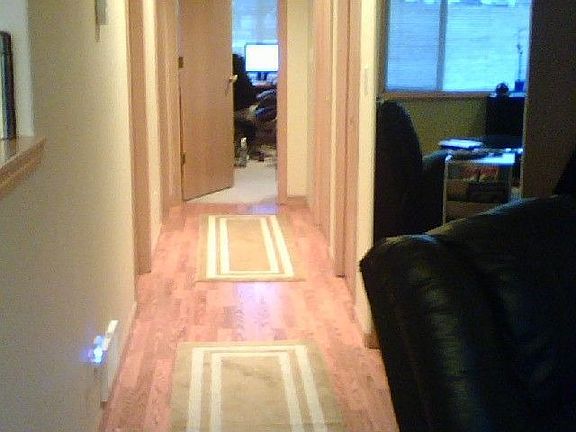 Pergo flooring