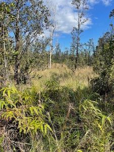 Road 6, Kurtistown, HI, 96760