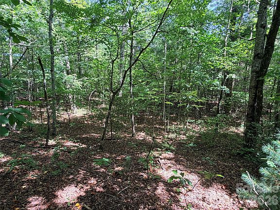 3rd image of 0 Grassy Knob Rd #5