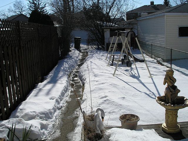 2nd image of 7231 W Summerdale Ave