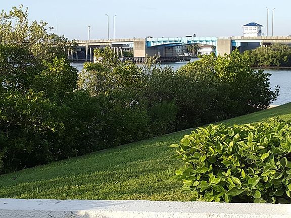 View from your patio