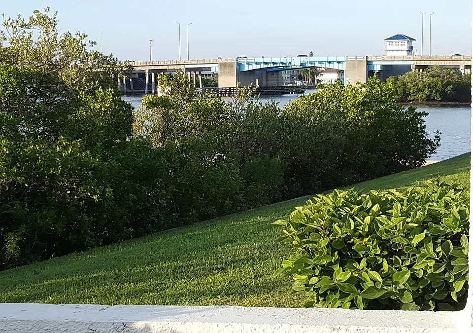 View from your patio