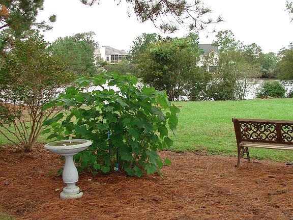 The backyard has a relaxing park area