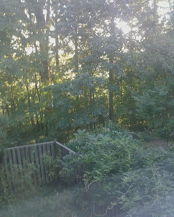 Back yard Fence & View