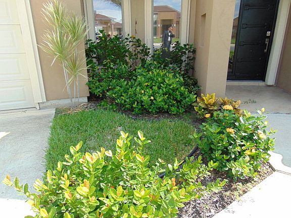 4th image of 5682 Buckeye Ct
