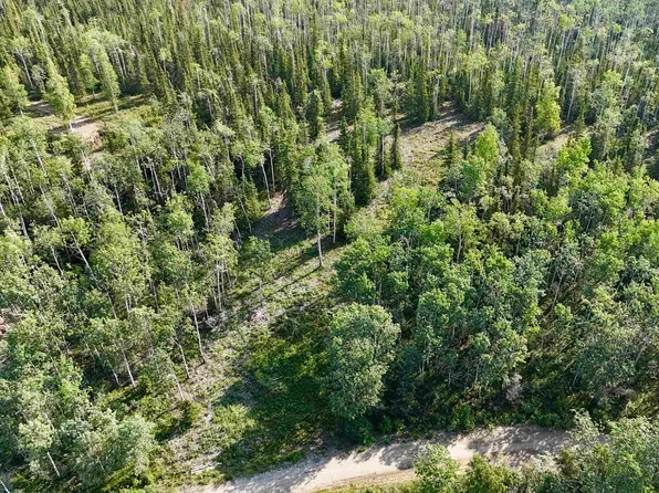 L4 Bc Schlecht Drive Block C Schlecht Dr Lot 4, Delta Junction, AK 99737