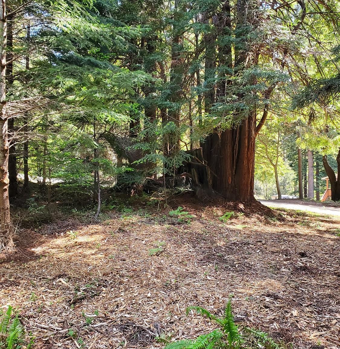 46750 Schooner Gulch Rd, Point Arena, CA 95468 MLS 323042487 Zillow