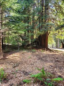 46750 Schooner Gulch Road, Point Arena, CA, 95468