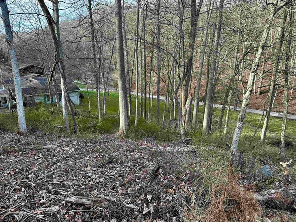 Goose Run Rd, Fairmont, WV 26554