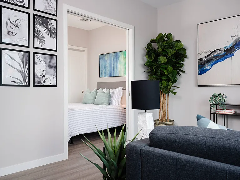 Junior 1-Bedroom Suite