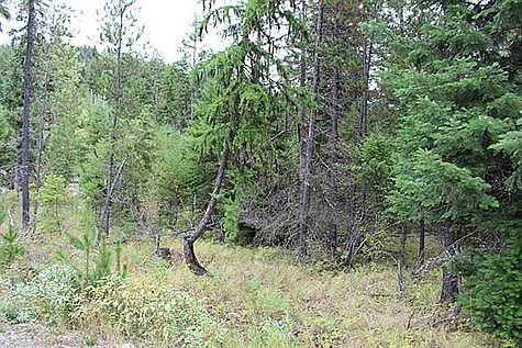 2nd image of Camp Creek Road